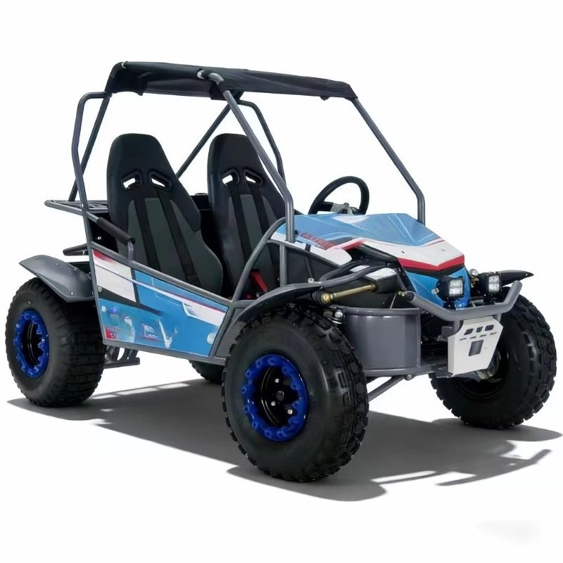 Hot Sale 4 Stroke 2-Seater Gas - Outdoor Adventure Utv review and price